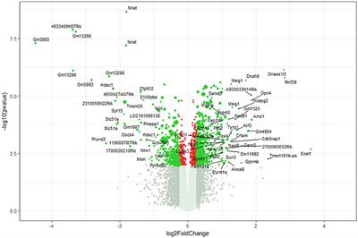 Signatures of Altered Gene Expression in Dorsal Root Ganglia of a Fabry Disease Mouse Model